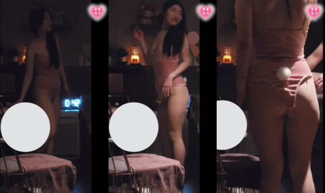 스웨디시 바니걸
