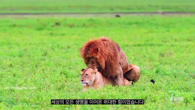 섹스장인대전 미션 인더나잇 - 섹스 대전 MMP-002