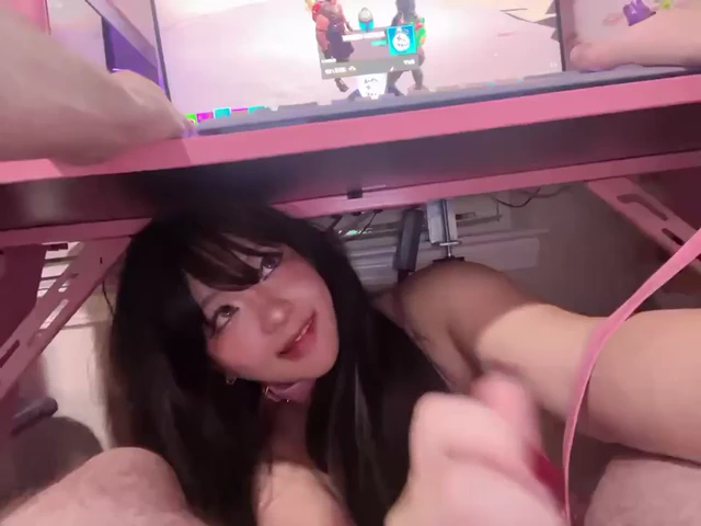 롤 트롤 만날때마다 기분 풀어주는 사랑스런 애완고양이 네코
