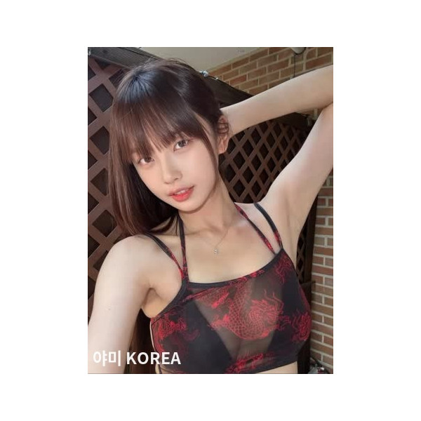 고말숙 망사 블랙비키니