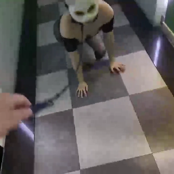 애완녀 조교하기