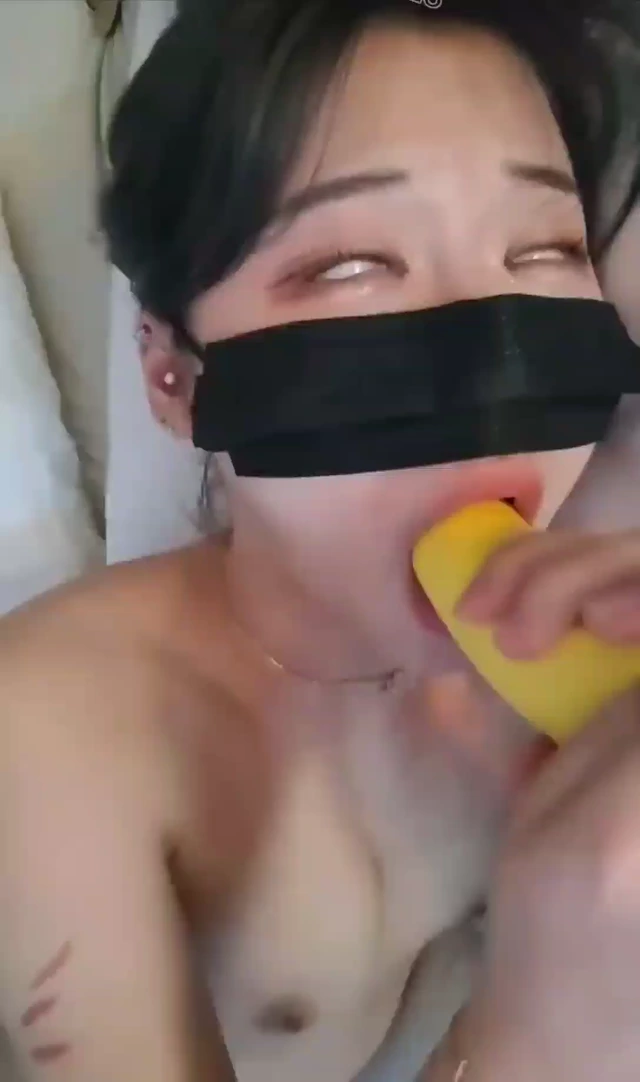 솜먼지6