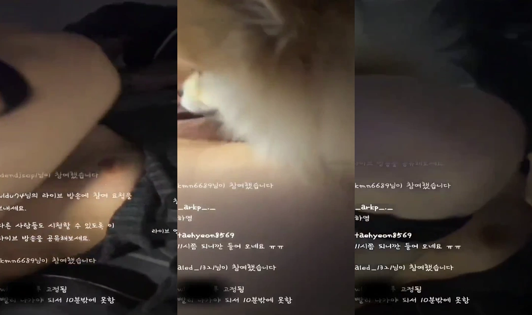 강아지 보빨시키는거 라이브