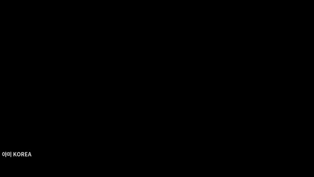 개인소장