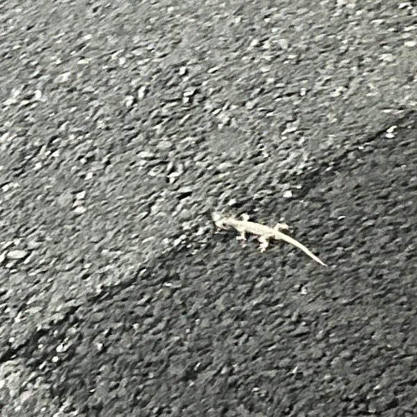 안녕하세요