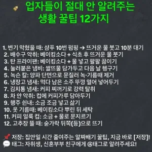 생활꿀팁